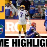 LSU vs #6 Florida Highlights Highlights | College Football Week 15 | 2020 College Football Highlight #CFB#NCAA