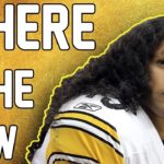 What Happened to the MOST ICONIC NFL Safety of the Century? (Troy Polamalu) #NFL