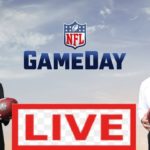 NFL GameDay Morning LIVE HD 1/17/2021 | NFL Divisional Playoffs LIVE | Good Morning Football LIVE #NFL