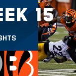 Steelers vs. Bengals Week 15 Highlights | NFL 2020 #NFL #Higlight