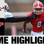 #11 Southern Illinois vs Youngstown State Highlights | 2021 Spring College Football Highlights #CFB#NCAA