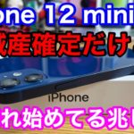 iPhone 12 miniの減産確定！iPhone 12 Proシリーズが想像以上に売れてる中、12 miniはなぜ売れないのか？