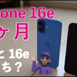 【今買うなら】結局iPhone 16eと16はどっちがいい？16eを2ヶ月使用