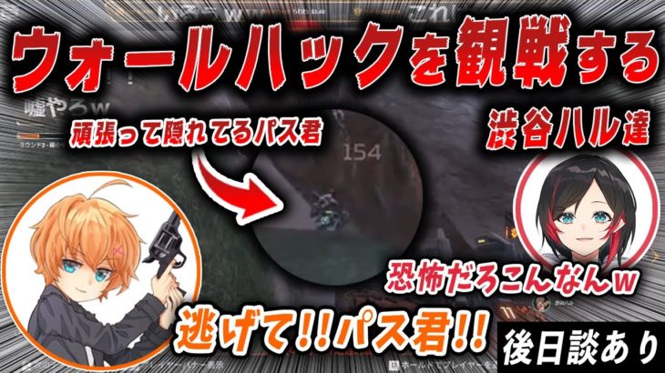 【APEX】悪質ウォールハックチーター vs 岩の上のパス君【切り抜き/渋谷ハル/あれる/うるか】