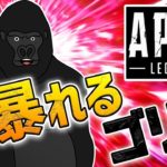【APEX LEGENDS】あわよくばダブハンを狙うゆったりとした雰囲気のカジュアル配信【バーチャルゴリラ】