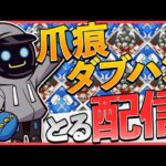 4000ダメ全キャラ耐久お手伝い【Apex Legends】