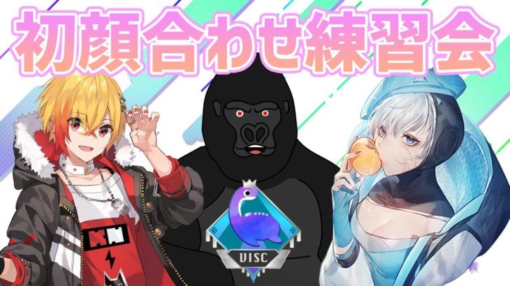 【APEX LEGENDS】19日開催の大会「VISC APEX Tournament -2021 summer-」チーム初顔合わせ練習 #VISCt【バーチャルゴリラ/黯希ナツメ(96猫)/あっか】
