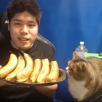 チート発見即実況 チーターに会う為ランク上げ APEXリハビリ中 マイク音質UPしました