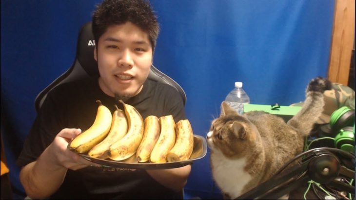 チート発見即実況 チーターに会う為ランク上げ APEXリハビリ中 マイク音質UPしました