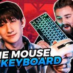 Apex Legends, but aceu uses the keyboard and Rogue uses the mouse