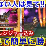【DQW】ガルーダのほこら攻略！お手頃装備だけどこれならほぼ確実に勝てます！【ドラゴンクエストウォーク】【ドラクエウォーク】