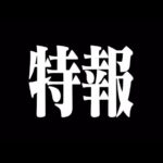 シン・エヴァンゲリオン劇場版　特報2