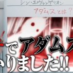 ネタバレ！本当にアダムスが何かわかりました。シン・エヴァンゲリオンガチ考察【おまけの夜】