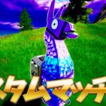 【フォートナイト】アイテムショップ待機配信→カスタムマッチ【Fortnite/初心者参加OK/ライブ】
