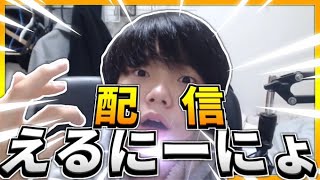 エンジョイ ハイプカップ!!!!!!!!!【Fortnite/フォートナイト】