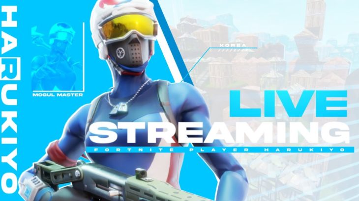 ソロアリーナ！クリップ集めに行く【Fortnite/フォートナイト】