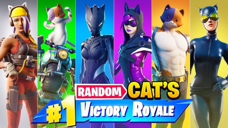 The *RANDOM* CAT Challenge in Fortnite!