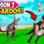 NEW *KANGAROOS* are INSANE!! – Fortnite Funny and WTF Moments! 1281
