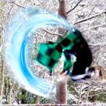 【水の呼吸を実写で再現…！】鬼滅の刃の日輪刀を100均で簡単に手作りグッズ工作★アニメの紅蓮華の技や戦闘シーンのアクロバットやパルクールに炭治郎が挑戦！