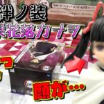 鬼滅の刃【UFOキャッチャー】絆ノ装 栗花落カナヲ あれっ！これは個体差か！？ 顔が・・・（獲って！開封！紹介！）
