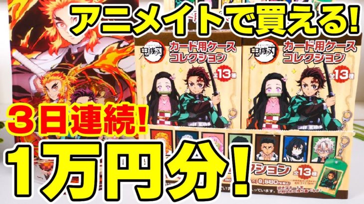 【鬼滅の刃】アニメイト１万円企画２日目！ぱしゃこれやウエハースが入れられる「カード用ケースコレクション」をボックスで開封！