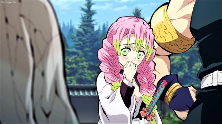 【鬼滅の刃】 Hashira easily has feelings for anyone