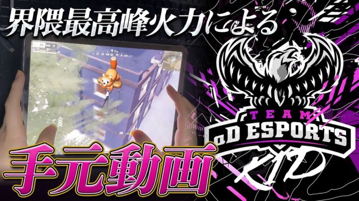 【荒野行動】界隈最高峰火力　AvesSenaによる手元動画 #荒野行動