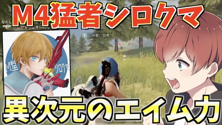 【荒野行動】M4最強の使い手”M堂シロクマ”にM4持たせたら敵が一瞬で消えていくwww #荒野行動