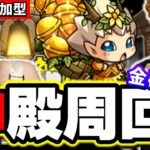 【🔴モンストマルチLIVE】ベル使用の金確定神殿周回　マキぴろ君＆梨央と楽しく厳選!!