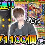 【クリスマスガチャ220連】おいおい、まじかよ…。最近ガチャの引き強かったけど…今回は？全キャラコンプ狙いで、オーブ1100個使った結果…。【けーどら】