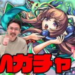 【モンスト】年納め激獣神祭「まほろば」追いガチャで狙っていく！【なうしろ】