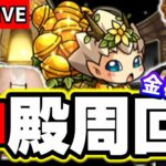 【🔴モンストマルチLIVE】モンストの日!! ベル使用の金確定神殿マルチ!!