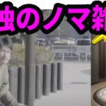 孤独のノマクエソロライブ【モンストLIVE配信】【なうしろ】