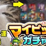 マイピックガチャの当て方【モンスト】