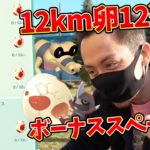 12km卵一気に12連で色違いの○○！？！？新機能のテスト感想！【ポケモンGO】