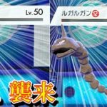 【不遇でGO】Part43 ポッポ、襲来【ポケモンゆっくり実況】