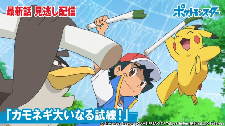 【公式】アニメ「ポケットモンスター」第51話「カモネギ大いなる試練！」-期間限定配信-