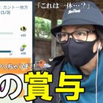 【ポケモンGO】ナイアンティックに届けたい。なぜ「ボーナスイベント」で不満の声が消えないのか？理系男子が問題解決の基礎を簡潔明瞭に解説してみた！【ヤヤコマ前日確認】