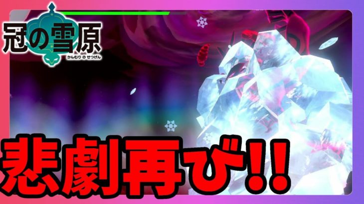 【ポケモンソードシールド】まさかの一番苦手な伝説！せっかくの氷が！！冠の雪原【エキスパンションパス】