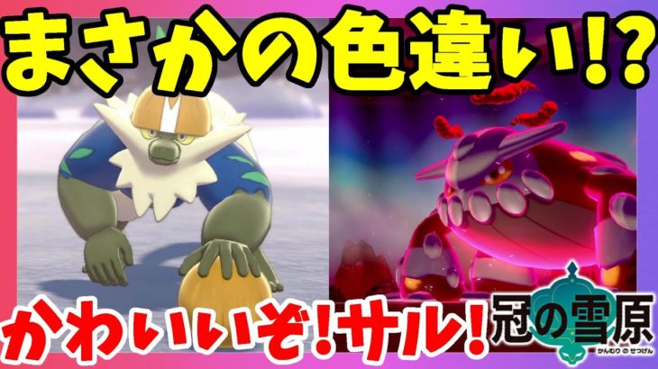 【ポケモンソードシールド】色違いポケモン再び！新たな伝説に出会った！と思ったら激レアきたー！冠の雪原【エキスパンションパス】