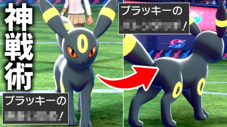 対戦相手が思考停止する「ブラッキー」の使い方を教えます。【ポケモン剣盾】