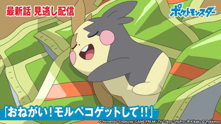 【公式】アニメ「ポケットモンスター」第70話「おねがい！モルペコゲットして！！」-期間限定配信-