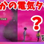 【ポケモンソードシールド】電気タイプのしつこい伝説！協力して反撃しないと！？冠の雪原【エキスパンションパス】