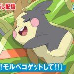 アニメ「ポケットモンスター」第７０話「おねがい！モルペコゲットして！！」-期間限定配信-