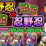 忍野忍が可愛い！HP6.25倍！3コンボ加算+固定100万ダメ！裏修羅の幻界で使ってみた！物語シリーズ【スー☆パズドラ】