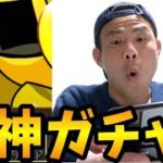 【パズドラ】微課金して式神ガチャ引いてみた結果・・・
