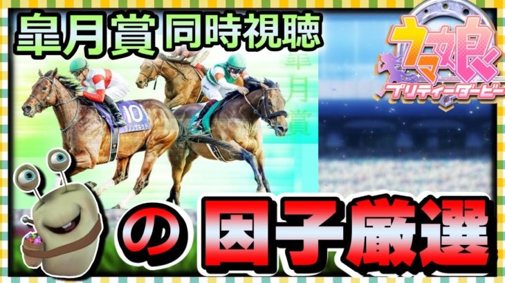 【ウマ娘】皐月賞同時視聴！みんなでガチャ代稼ぐぞ！土日の因子厳選スペシャル！四苦八苦育成攻略日記！【田中くぅすけ】