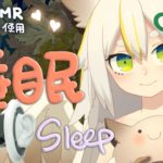 【3DIO ASMR】3/30 睡覺直播 sleep stream #鳥羽樂奈 #vtuber