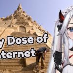 Vei watches Daily Dose Of Internet (WITH CHAT), does ASMR (supercut) | Veibae
