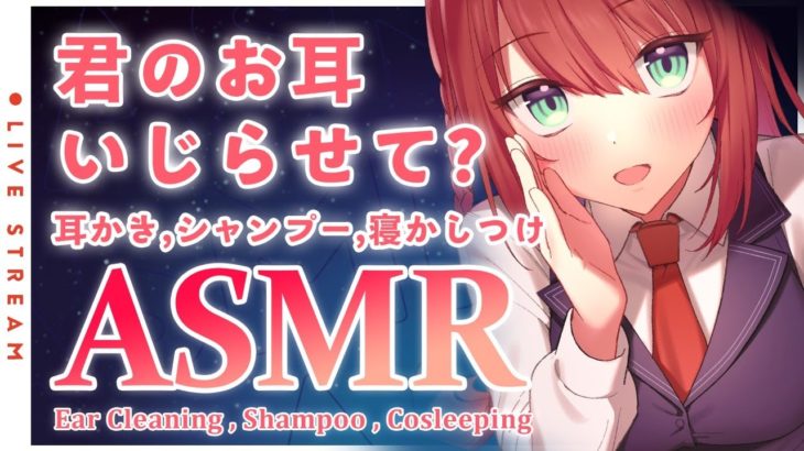 【ASMR】気持ちいい音探し🌙耳かき, シャンプー, 寝かしつけ/Ear Cleaning, Shampoo【緋乃あかね / Japanese Vtuber】